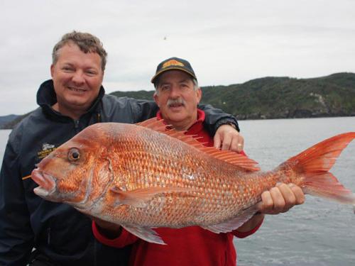 Charter Boat / Yacht - Double Rum, Gulf Harbour (Auckland & Hauraki Gulf)