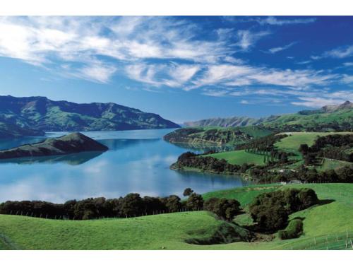 Charter Boat / Yacht - Black Cat Cruises, Akaroa & Lyttelton  (Christchurch)