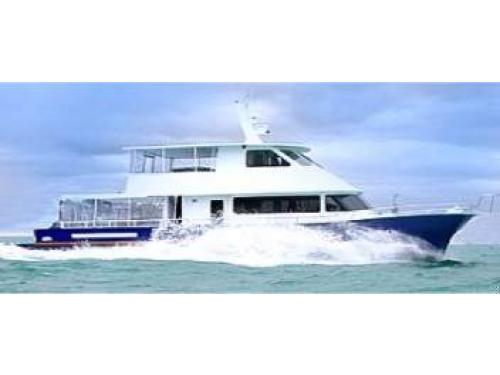 Charter Boat / Yacht - Dream Weaver, Auckland (Auckland & Hauraki Gulf)