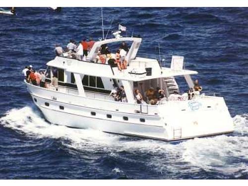 New Zealand Yacht Boat Charters Missionhills Wellington Wellington