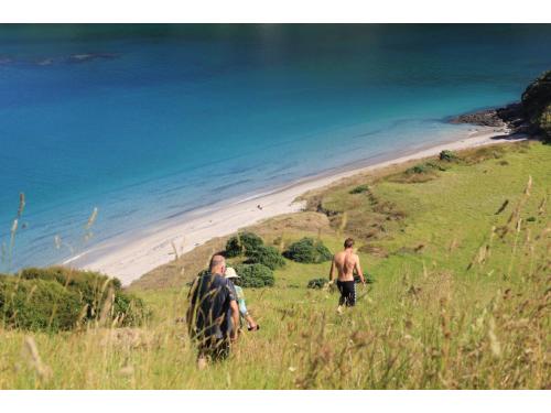 Charter Boat / Yacht - Bayscapes Charters, Paihia Wharf (Bay of Islands, Northland) Charter Boat / Yacht - Bayscapes Charters, Paihia Wharf (Bay of Islands, Northland)