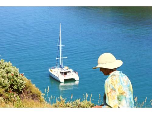 Charter Boat / Yacht - Bayscapes Charters, Paihia Wharf (Bay of Islands, Northland) Charter Boat / Yacht - Bayscapes Charters, Paihia Wharf (Bay of Islands, Northland)