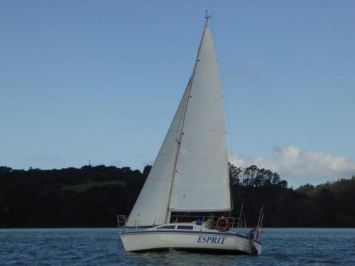 Charter Boat / Yacht - Great Escape, Opua (Bay of Islands, Northland)