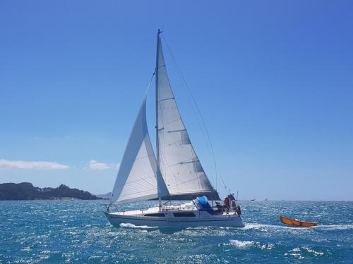 Charter Boat / Yacht - Great Escape, Opua (Bay of Islands, Northland)