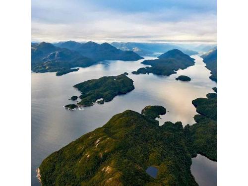 Charter Boat / Yacht - MV Pembroke, Dusky/Breaksea Sound (Fiordland/Southland & West Coast)