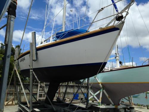 Charter Boat / Yacht - Rubaiyat, Gulf Harbour (Auckland & Hauraki Gulf)