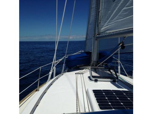 Charter Boat / Yacht - Rubaiyat, Gulf Harbour (Auckland & Hauraki Gulf)