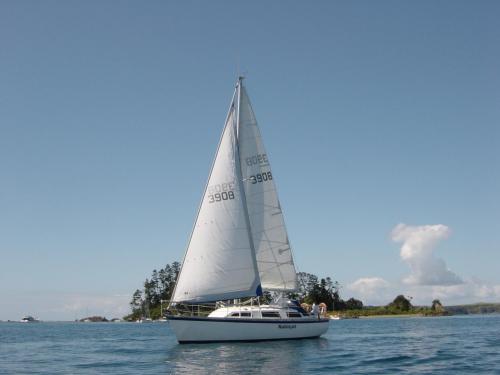 Charter Boat / Yacht - Rubaiyat, Gulf Harbour (Auckland & Hauraki Gulf)