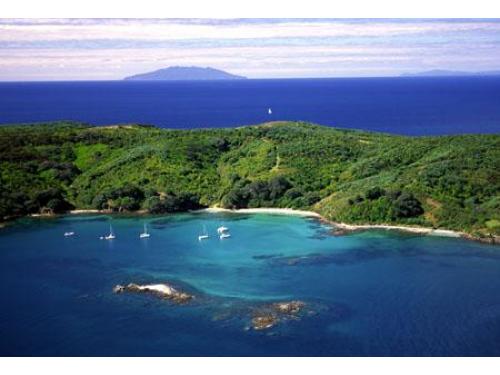Charter Boat / Yacht - Rubaiyat, Gulf Harbour (Auckland & Hauraki Gulf)
