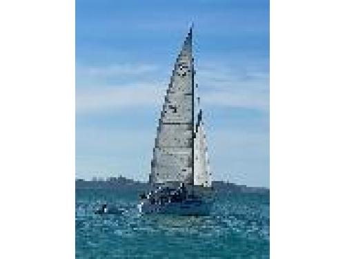 Charter Boat / Yacht - Sensation - Bay of Islands Yacht Charters, Bay of Islands Marina, Opua (Bay of Islands, Northland)