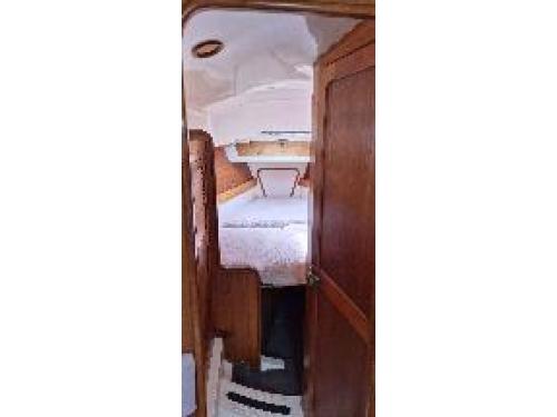 Charter Boat / Yacht - Sensation - Bay of Islands Yacht Charters, Bay of Islands Marina, Opua (Bay of Islands, Northland)