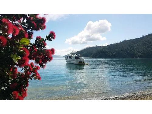 Charter Boat / Yacht - Sweet Georgia, Wellington (Wellington)