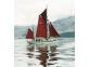 Jack Tar Sailing - Oyster photo 6