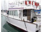 Straits Ranger - Charter Boat, Auckland / Auckland & Hauraki Gulf