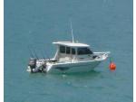 Orion - Charter Boat, Waikawa / Marlborough