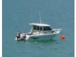 Orion - Charter Boat, Waikawa / Marlborough