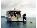 EJ - Charter Boat, Picton/Waikawa / Marlborough