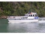 Foxy Lady Cruises  - Charter Boat, Havelock / Marlborough