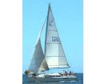 Sensation - Bay of Islands Yacht Charters