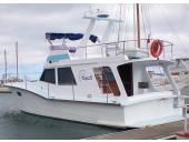 Topaz II