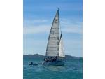 Sensation - Bay of Islands Yacht Charters - Charter Boat